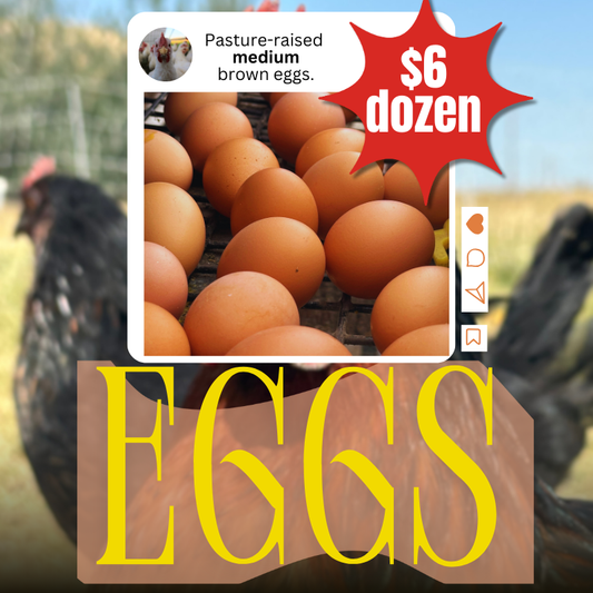 Pasture-Raised Eggs